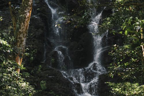Free A serene waterfall cascades through dense forest greenery in Guanacaste, Costa Rica. Stock Photo
