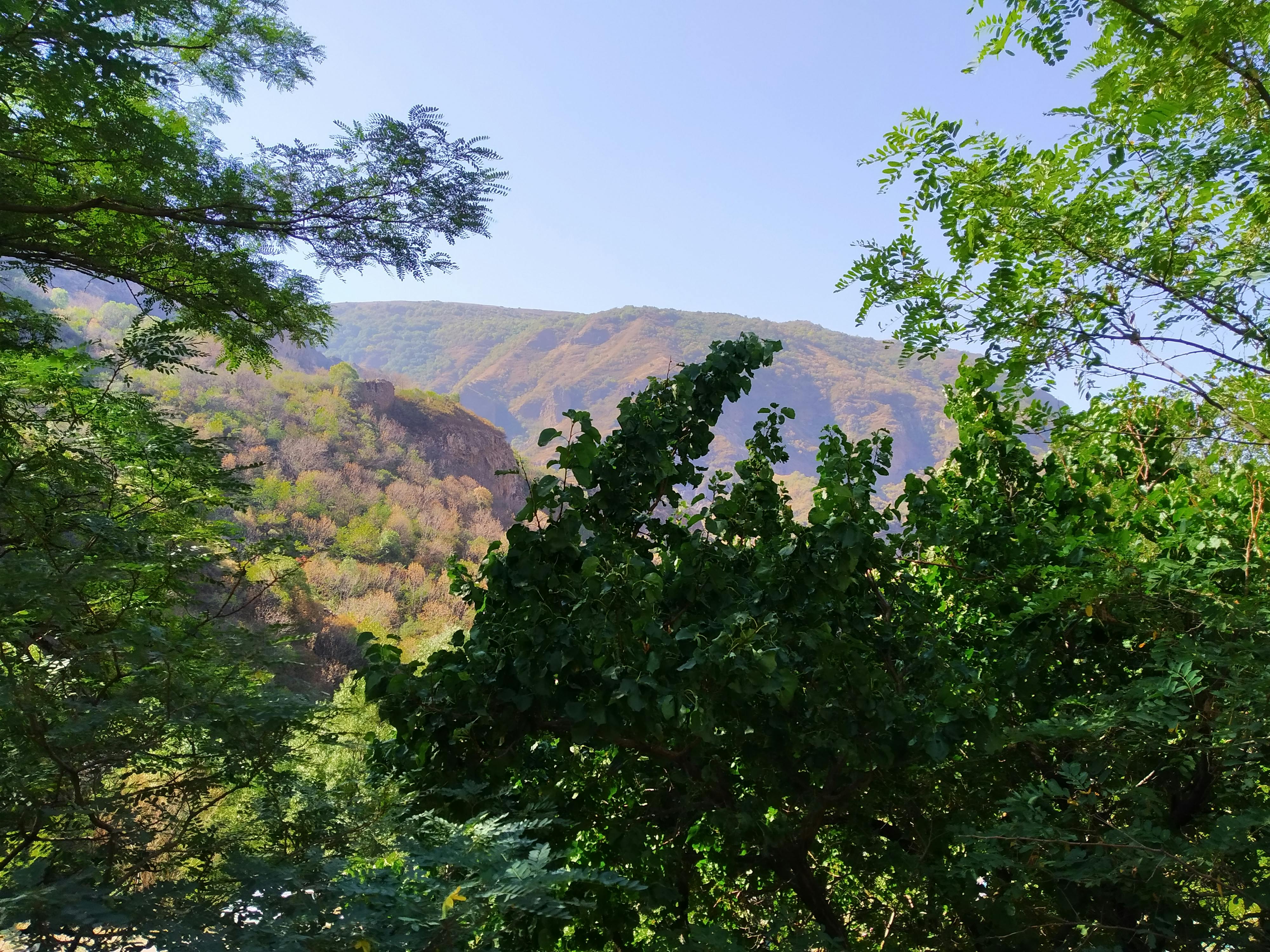 pexels-photo-10614389.jpeg?auto=compress&cs=tinysrgb&dpr=1&w=500