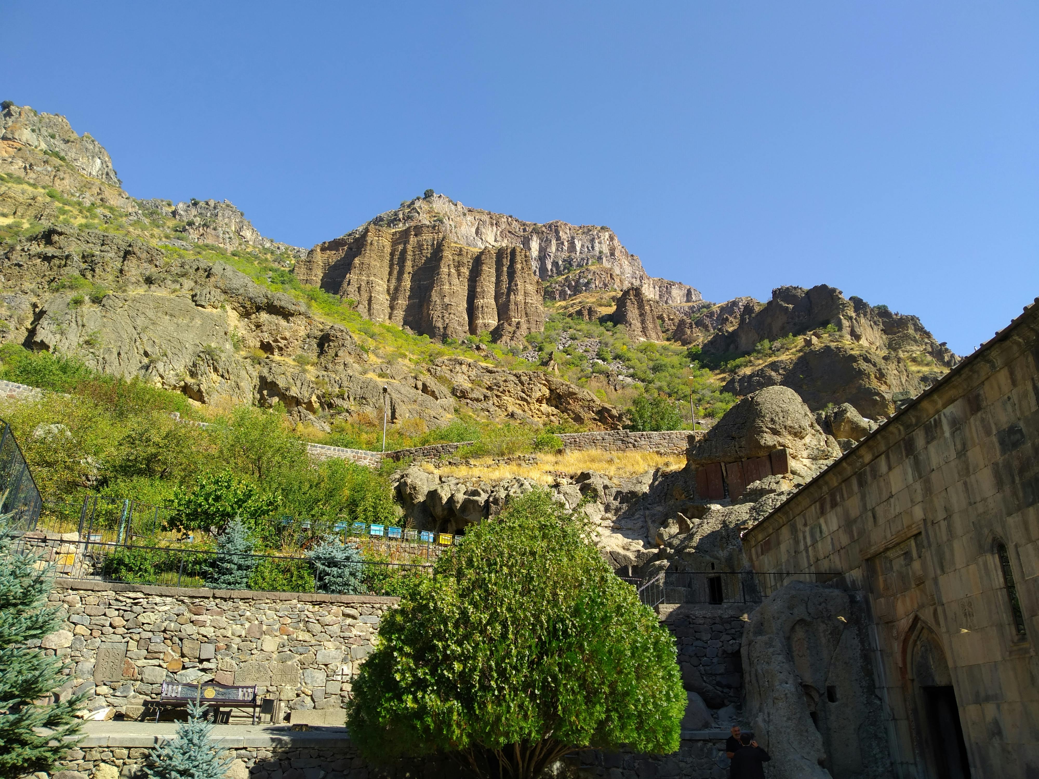 pexels-photo-10614393.jpeg?auto=compress&cs=tinysrgb&dpr=1&w=500