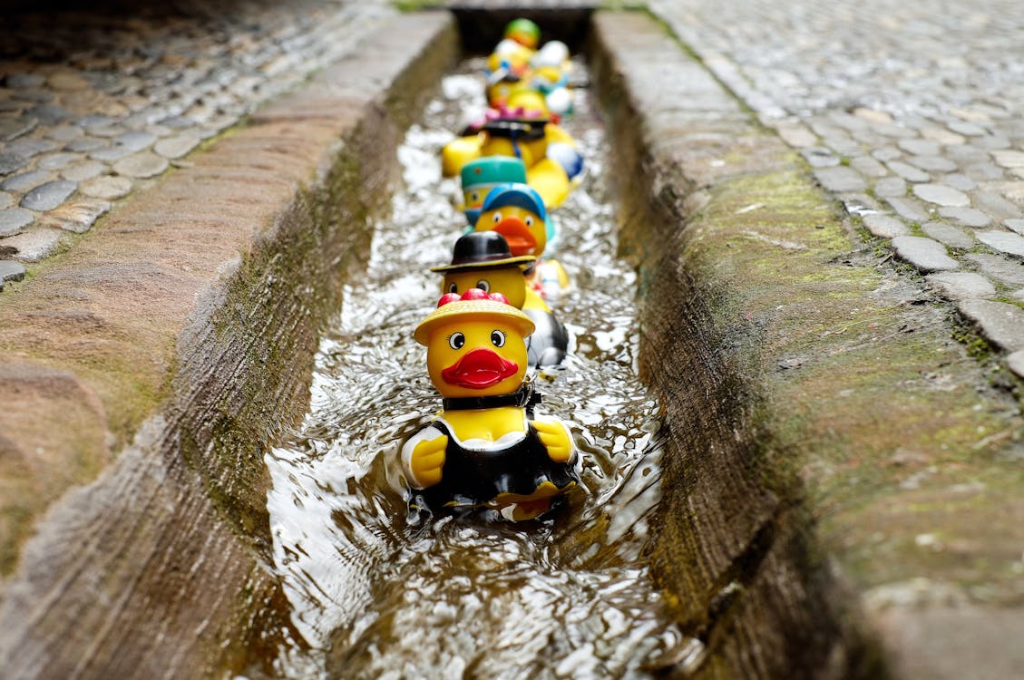 Yellow Duckies in Line on a Concrete Floor