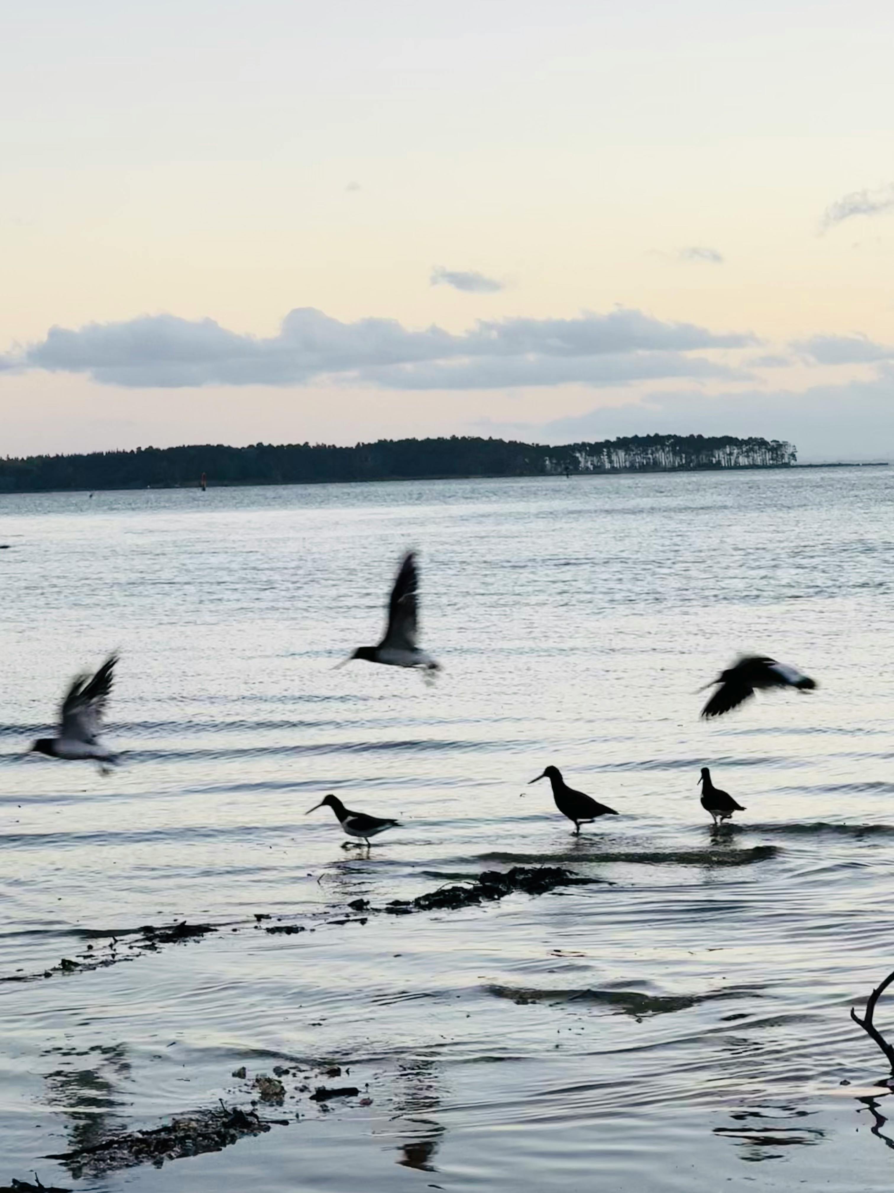 Pediatrician and parent talking while looking at a tablet, reviewing a child’s vaccine plan