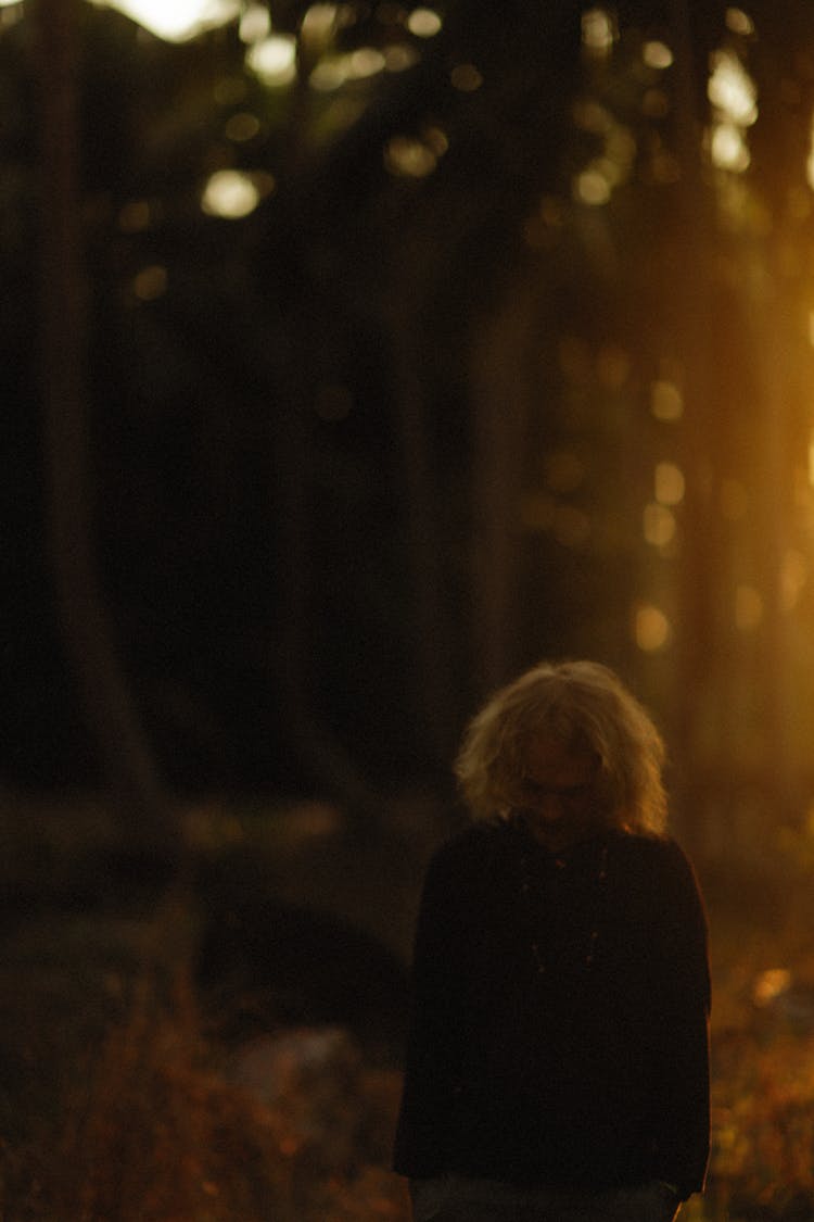 Man Walking In Forest At Sunrise