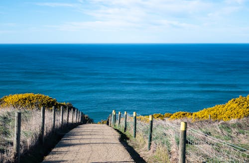 Path Leading into Sea