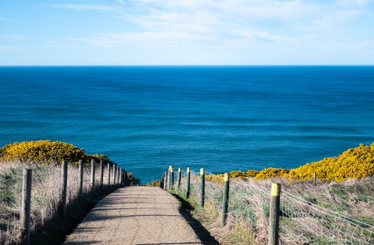 Path Leading Into Sea