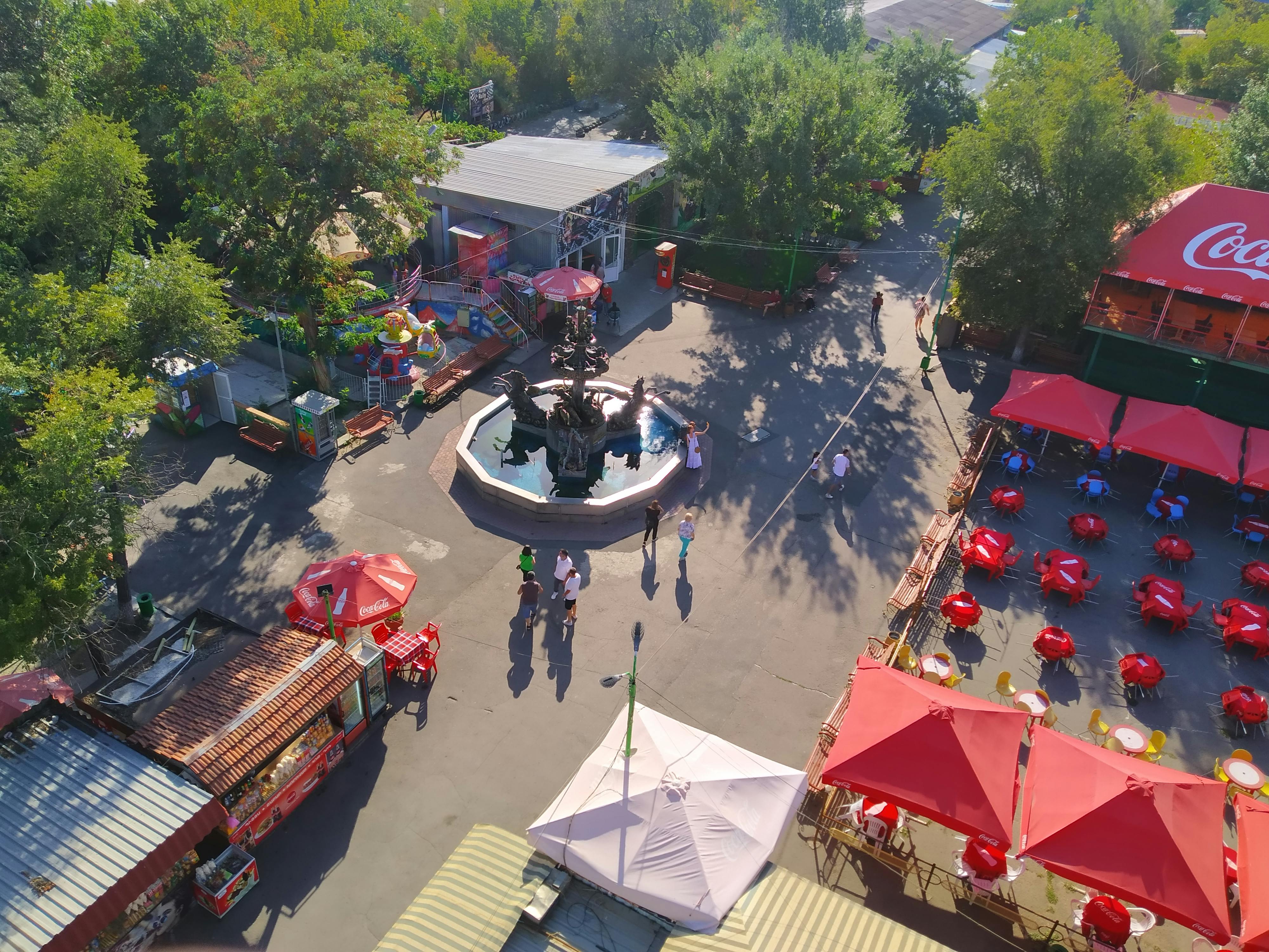 pexels-photo-10614832.jpeg?auto=compress&cs=tinysrgb&dpr=1&w=500