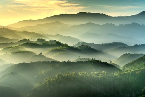 Free A serene landscape of misty mountain ranges illuminated by the soft glow of sunrise. Stock Photo
