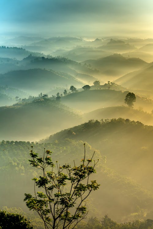 คลังภาพถ่ายฟรี ของ ทิวทัศน์ที่สวยงาม, ธรรมชาติ, พระอาทิตย์ขึ้น