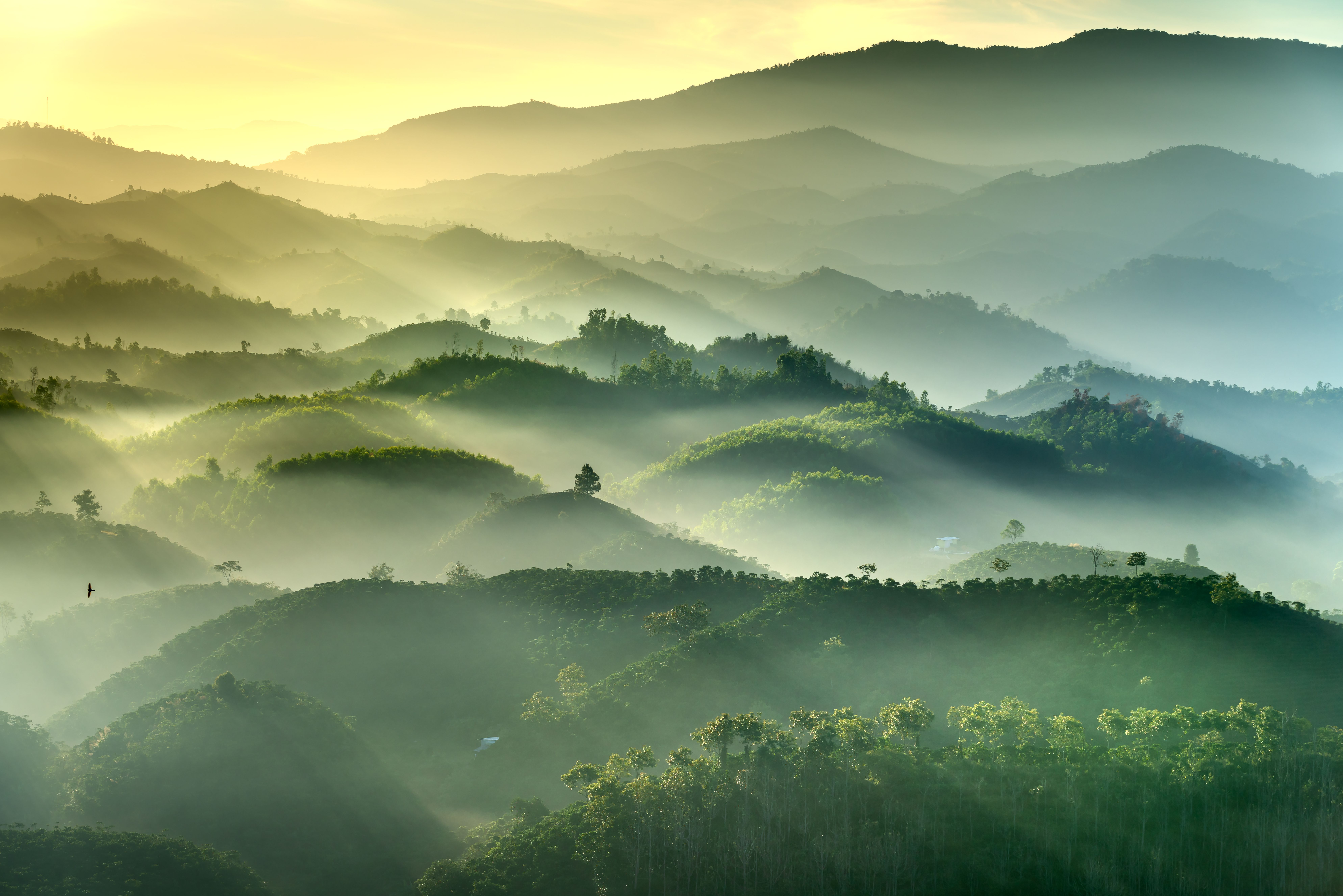 2 Day Meditation Retreat in Yen Tu - Ha Long, Vietnam 1