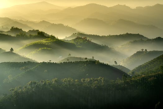 A serene landscape of misty hills with lush greenery and gentle sunrise hues.