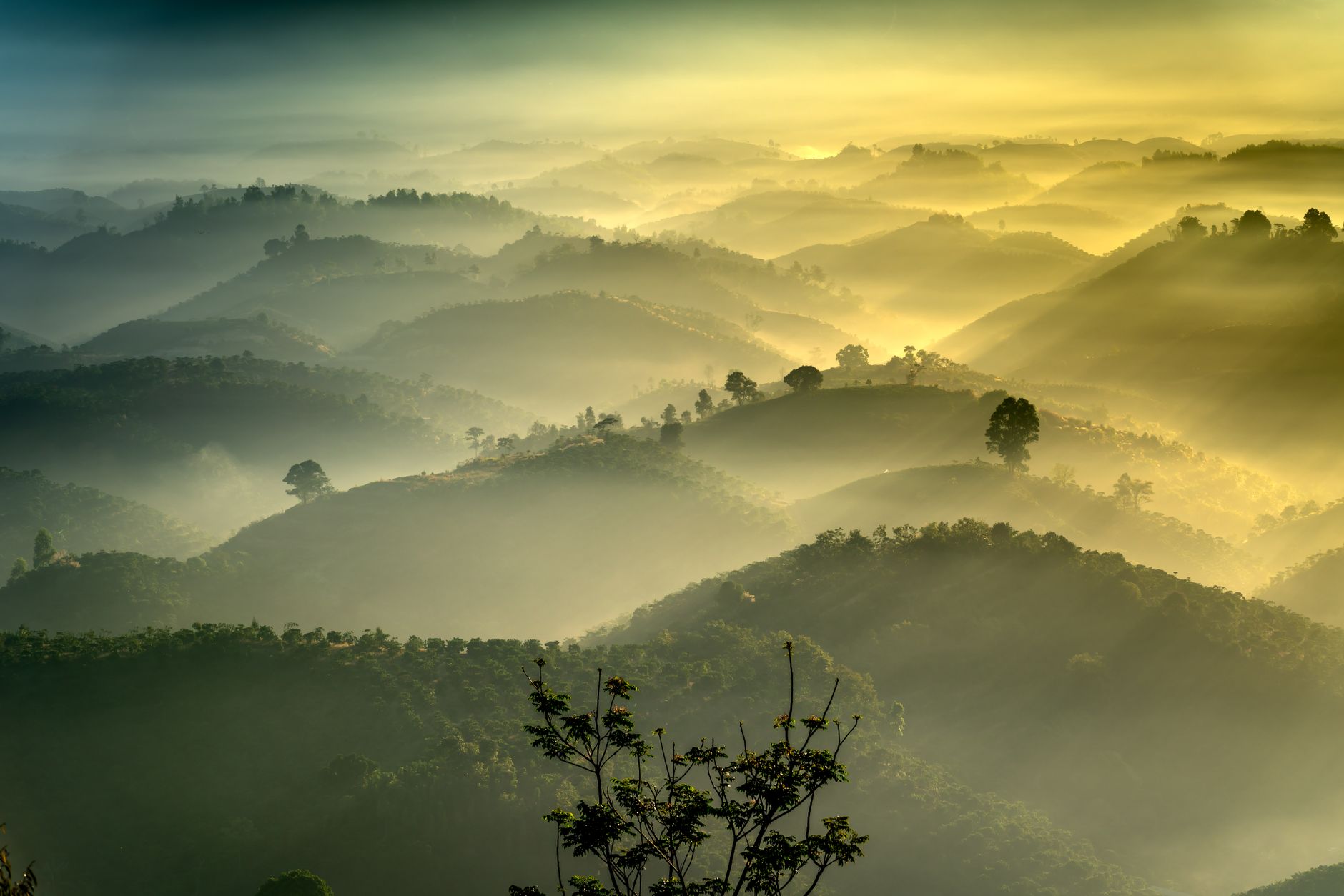 Enchanting view of a misty mountain range illuminated by the soft morning sunlight.. pexels, enchanting, view