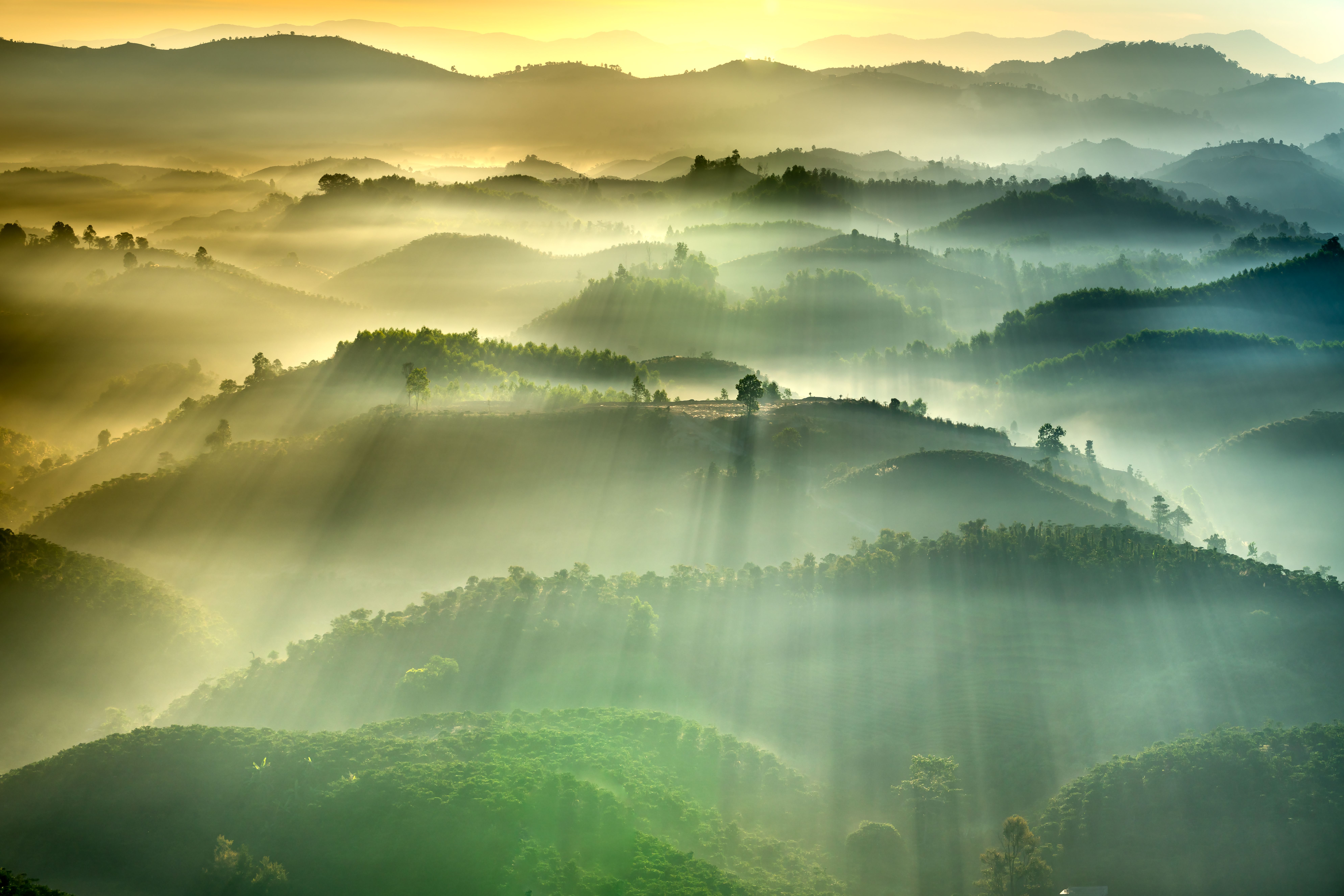 Stunning misty landscape with sun rays illuminating green hills at sunrise, creating a serene and scenic view.