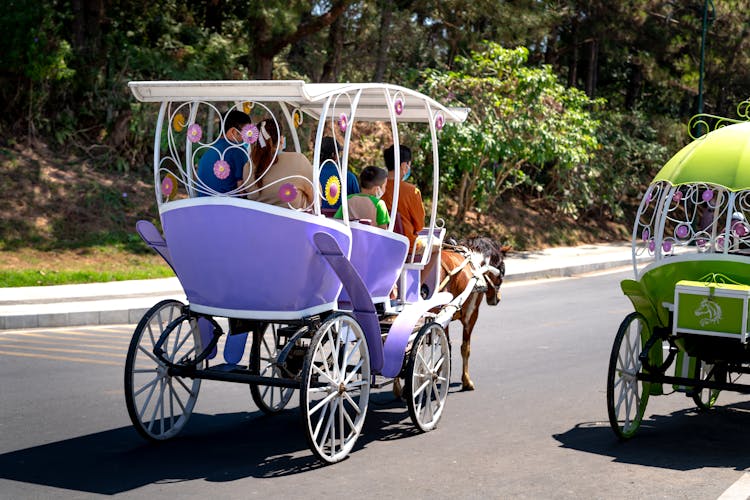 Family In Purple Chase On Road