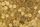 gold coin