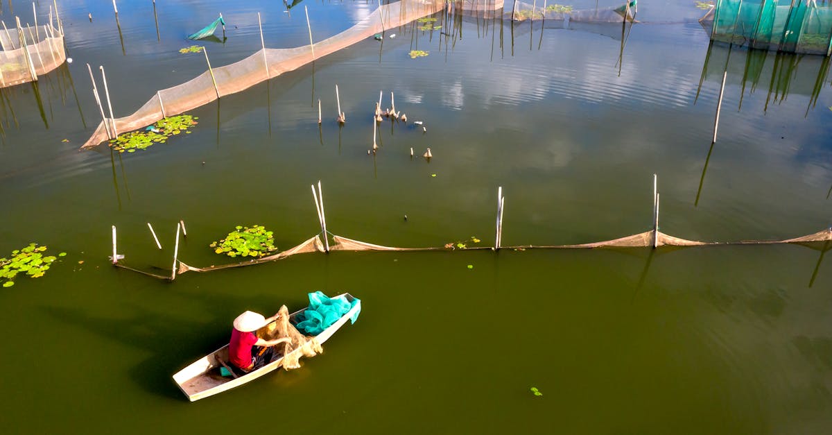 Lake Fishing: Navigating Change in a Competitive Environment