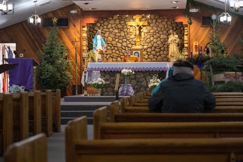 Foto profissional grátis de admiração, ajoelhado, altar