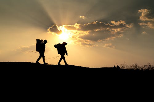 걷고 있는, 골든 아워, 사람의 무료 스톡 사진