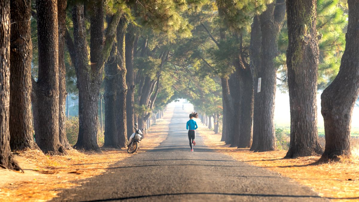 A woman jogs down a scenic tree-lined path in a park, showcasing an outdoor fitness lifestyle.