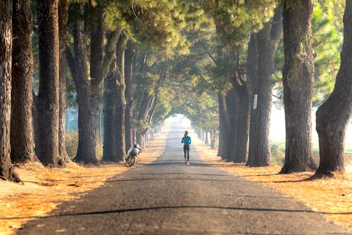 A Back View of a Woman Walking Between Green Trees