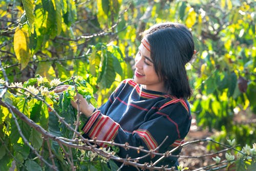 Beautiful Woman Picking Up Flowers from Tree