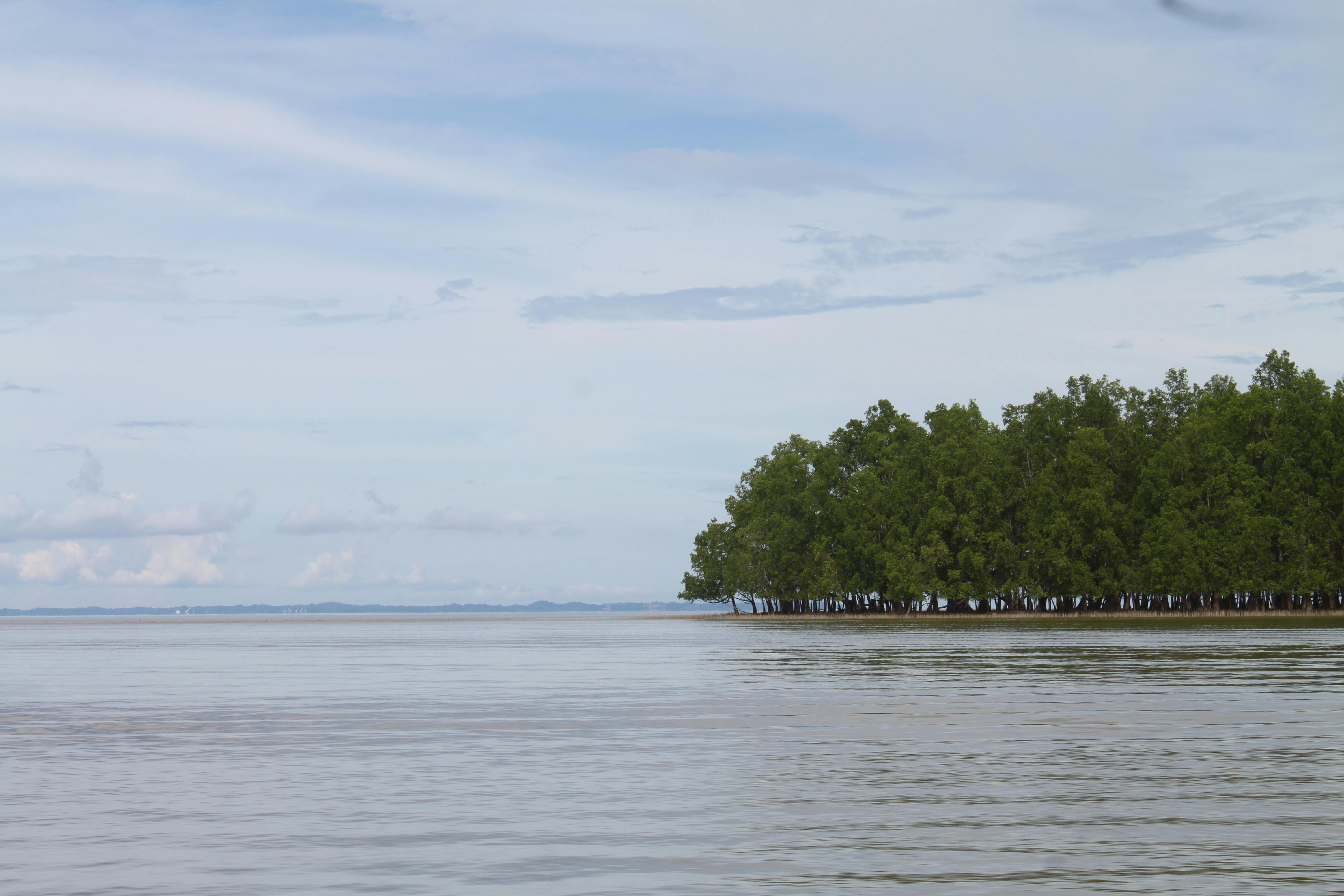 Future vision of AI predictive insurance 2030 with data integration