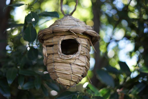  Hanging Straw Woven Bird House 