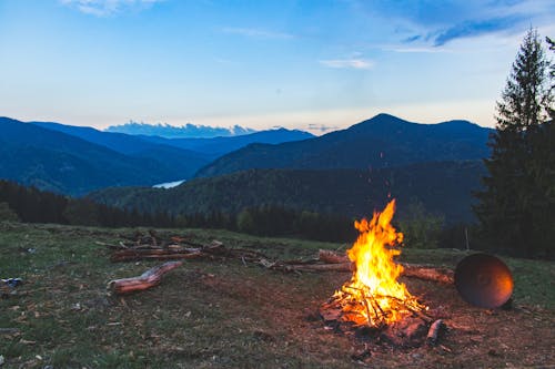 Bonfire Surrounded With Green Grass Field