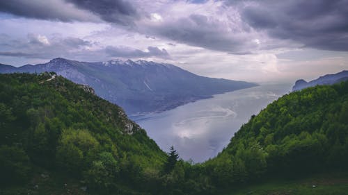 árboles De Hojas Verdes Cerca Del Lago Bajo Un Cielo Nublado En Daytimne