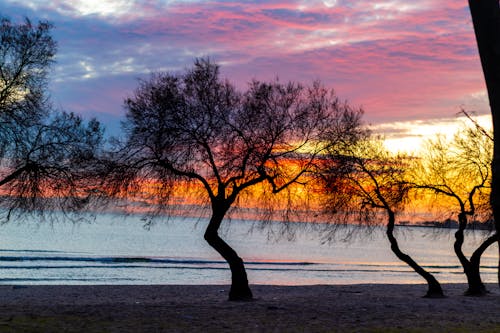 Free stock photo of beach sunset, marmara sea, sunset