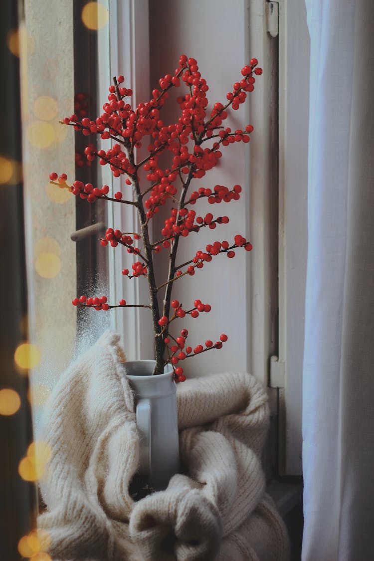 Branch Of Holly In Vase Wrapped In Blanket