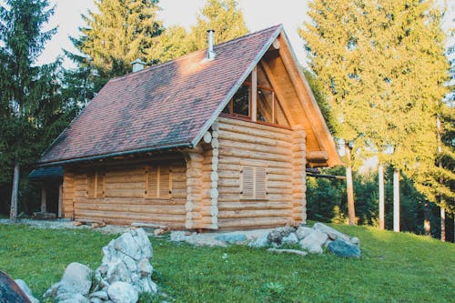 Free A Wooden Cabin in the Forest  Stock Photo
