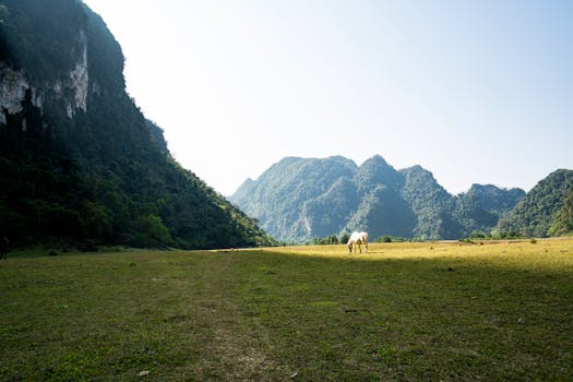 A tranquil landscape showing a lone horse grazing in a vast, sunlit pasture flanked by rugged mountains.