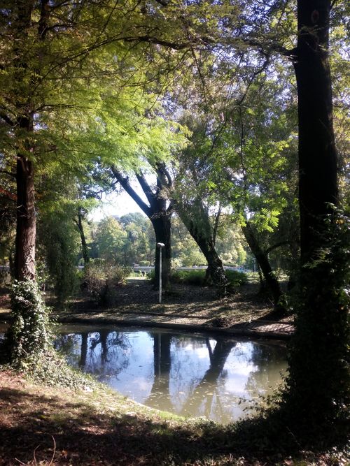 Free A tranquil pond in a park with sunlight streaming through lush trees, creating reflections on the water. Stock Photo
