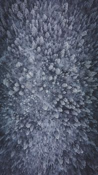 A stunning aerial view of a snow-covered forest captured in winter.