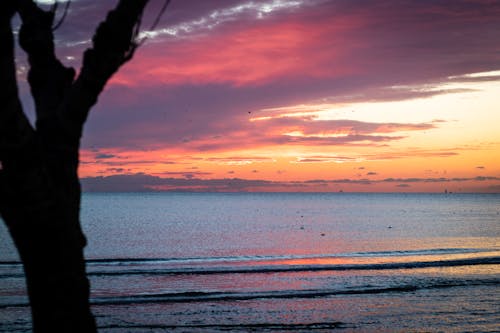 Free stock photo of beach, landscape, sunset