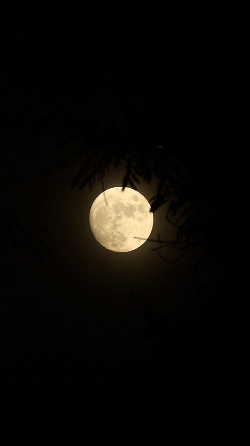 Free stock photo of full moon, moon, moon photography Stock Photo