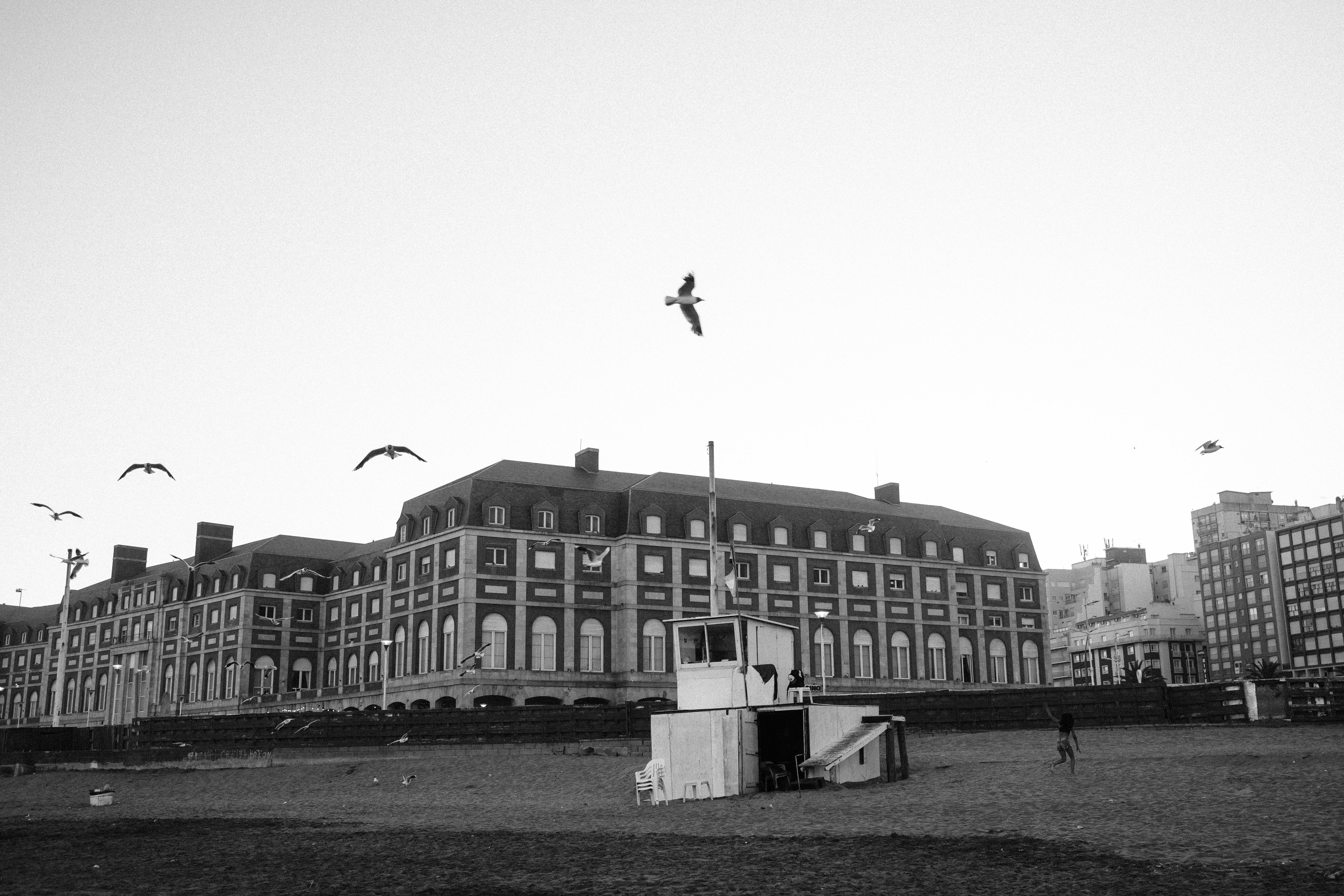 Black and white photo of a historic building and beach in Mar del Plata, Argentina.