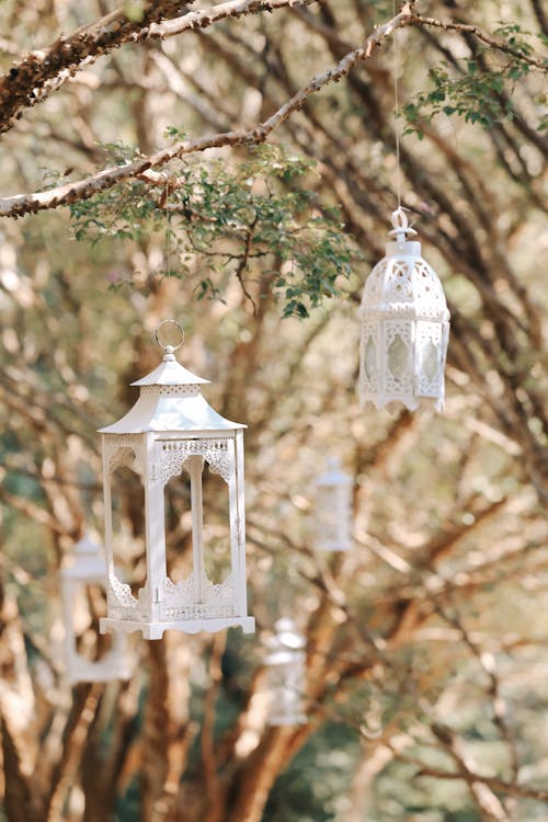Vintage Lanterns Hanging on Trees