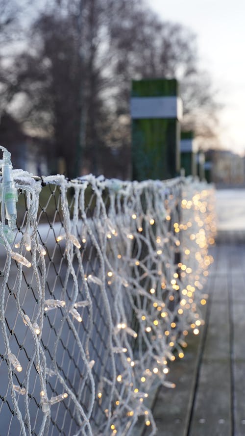 冬季, 围栏, 垂直拍摄 的 免费素材图片
