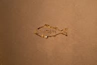 Fish Symbol on Wall