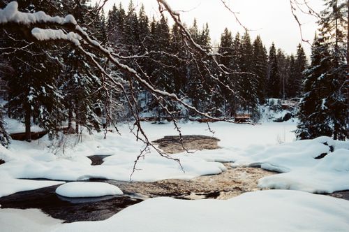 Free Scenic winter river with snow-covered forest in Karelia, Russia. Stock Photo