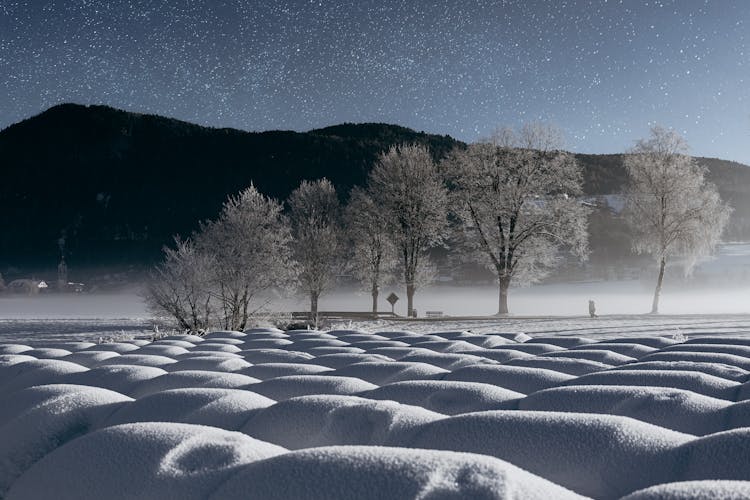 Snow Dunes Under Starry Sky