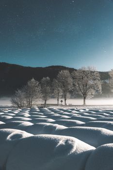 Scenic winter night with frosty trees under a starry sky, blanketed in snow.