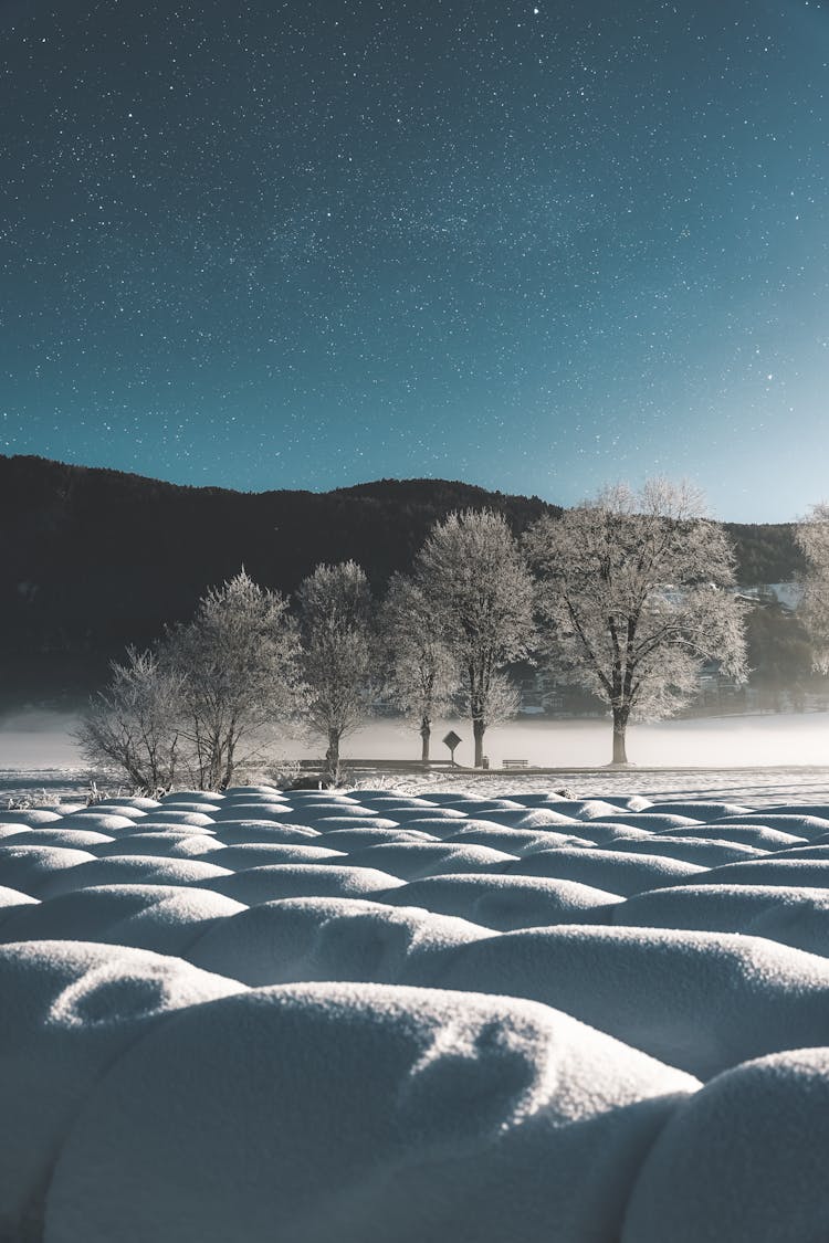 Snow Dunes Under Starry Sky