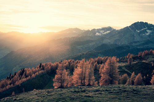 Free Breathtaking autumn mountain view with trees at sunset, capturing golden hour light. Stock Photo