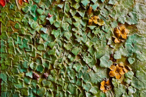 Зеленые листья бетонная стена