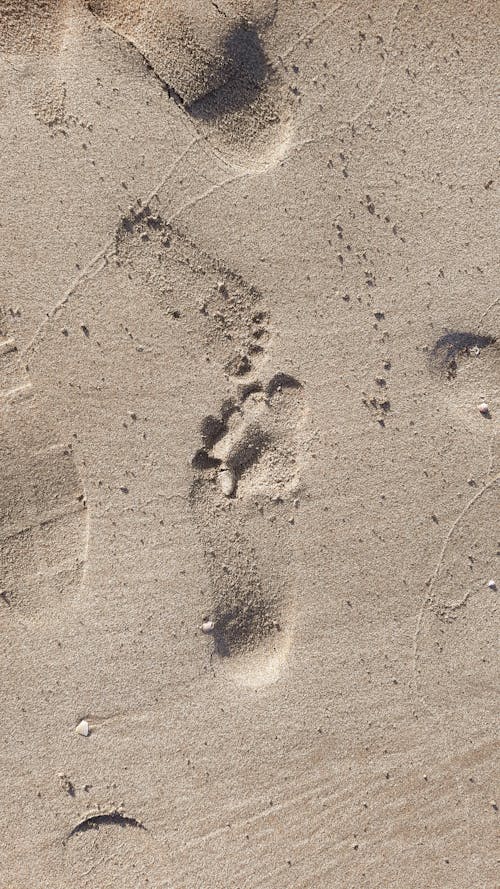 Free A Footprints on the Sand Stock Photo