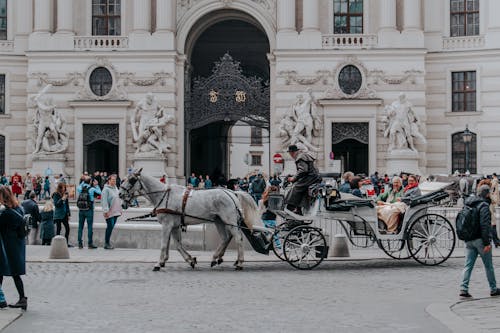 People Riding a Carriage in Front of an Architectural Building