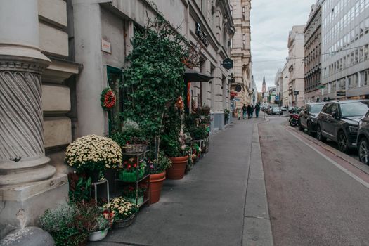 Beautiful side street in Vienna adorned with vibrant potted plants and classic architecture.