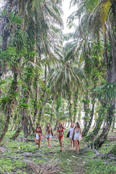 Group of women enjoying a walk through lush palm trees in tropical Panama.