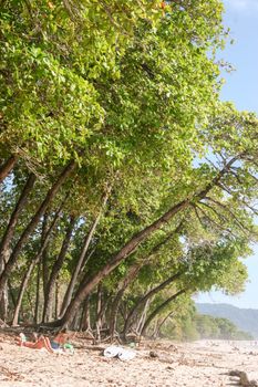 Enjoy a serene moment on a Costa Rican beach with verdant trees and golden sand.